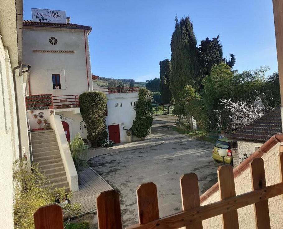 Pier Delle Vigne B&B Pineto Eksteriør billede