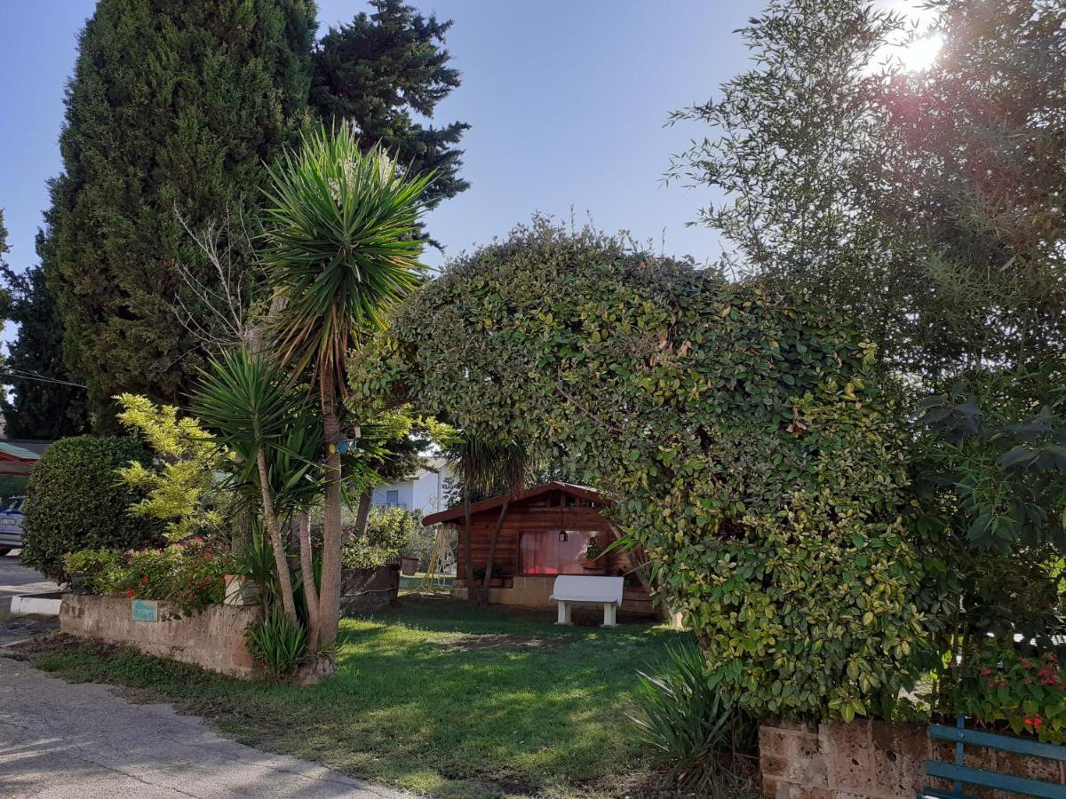 Pier Delle Vigne B&B Pineto Eksteriør billede