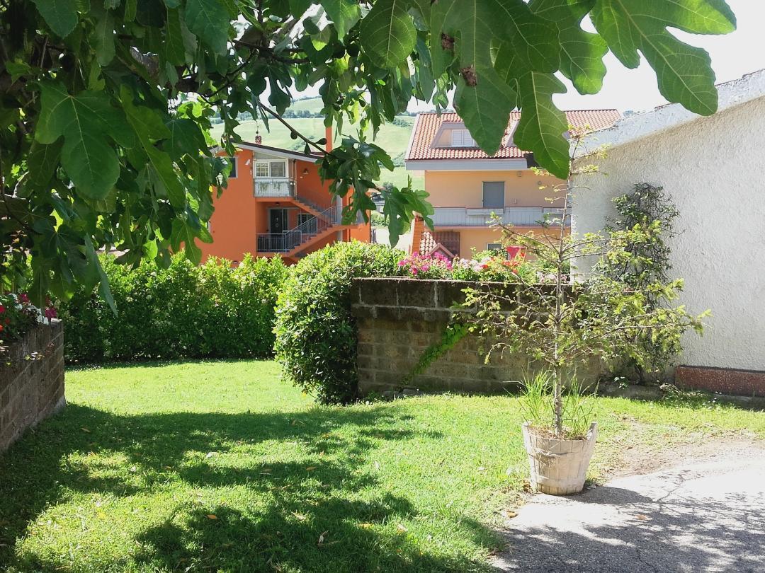 Pier Delle Vigne B&B Pineto Eksteriør billede