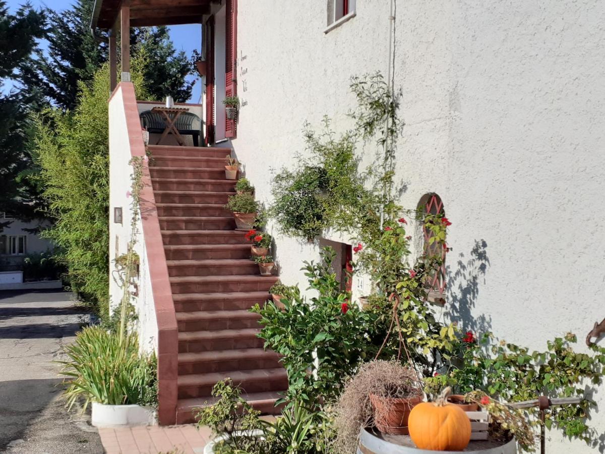 Pier Delle Vigne B&B Pineto Eksteriør billede
