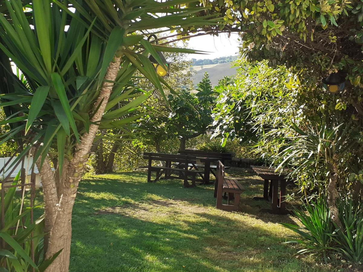 Pier Delle Vigne B&B Pineto Eksteriør billede