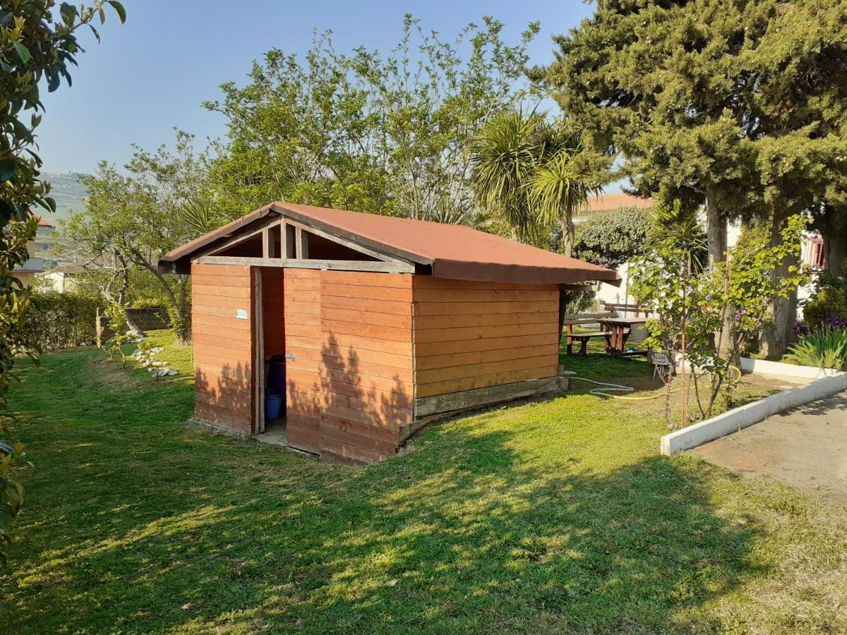 Pier Delle Vigne B&B Pineto Eksteriør billede
