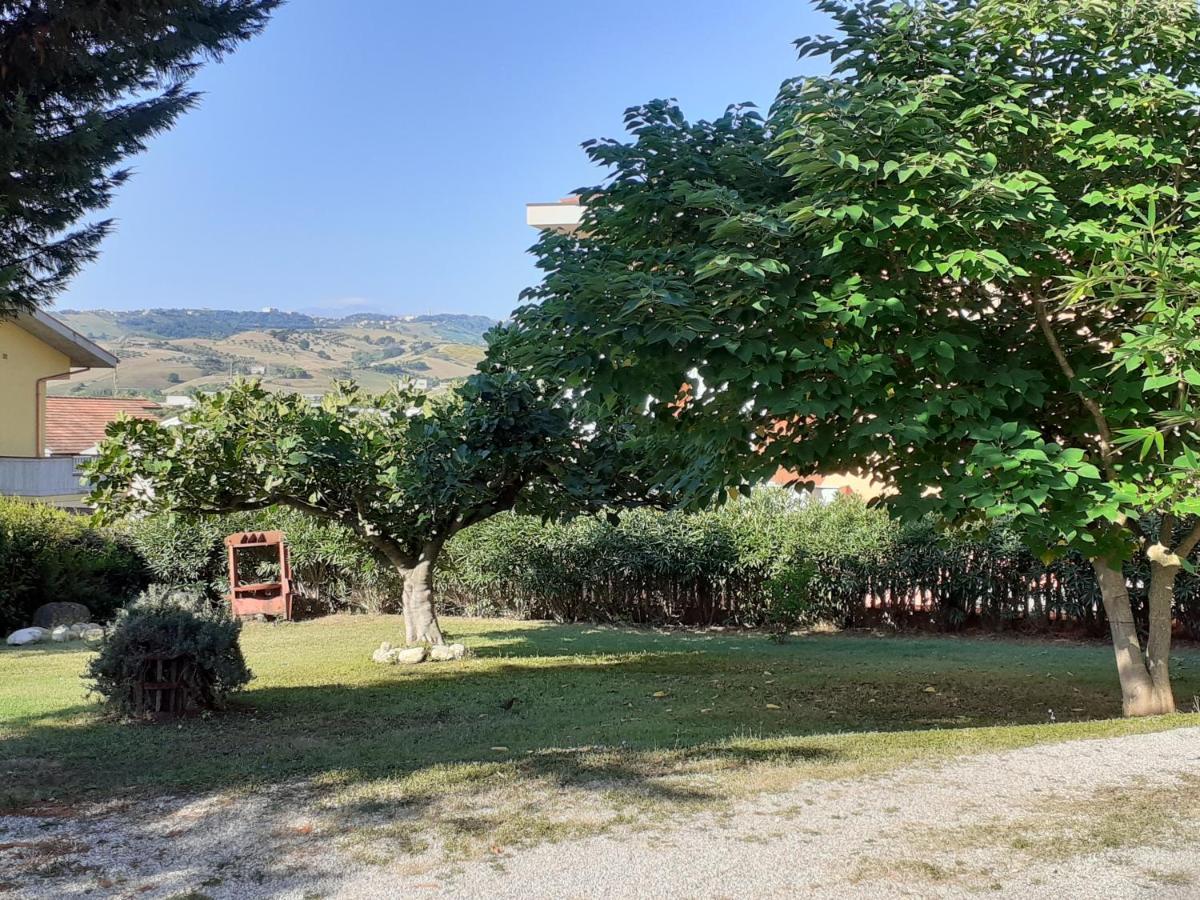 Pier Delle Vigne B&B Pineto Eksteriør billede