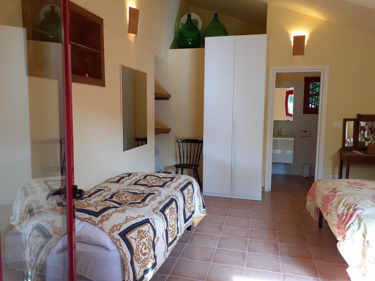 Pier Delle Vigne B&B Pineto Eksteriør billede