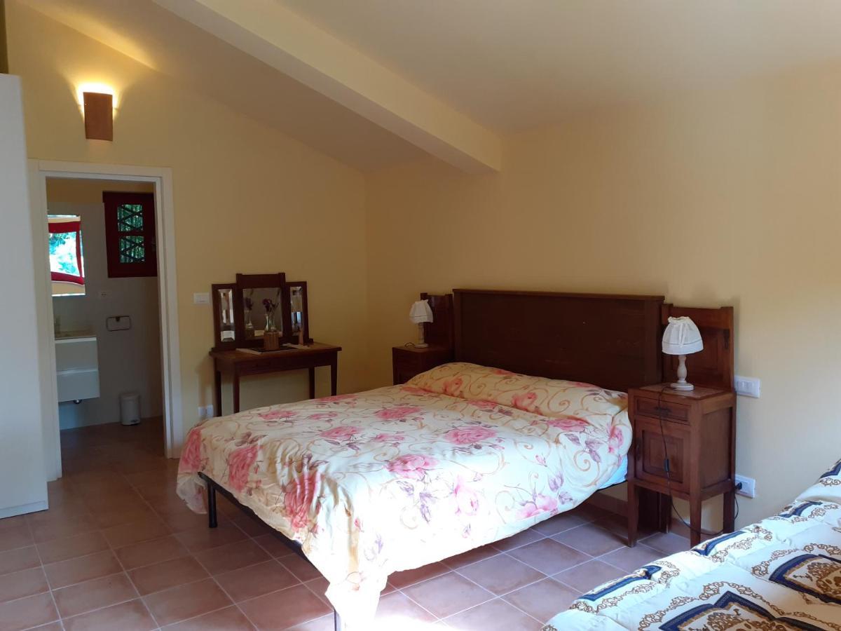 Pier Delle Vigne B&B Pineto Eksteriør billede