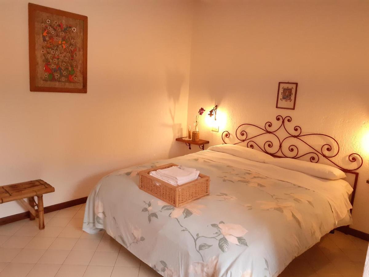 Pier Delle Vigne B&B Pineto Eksteriør billede