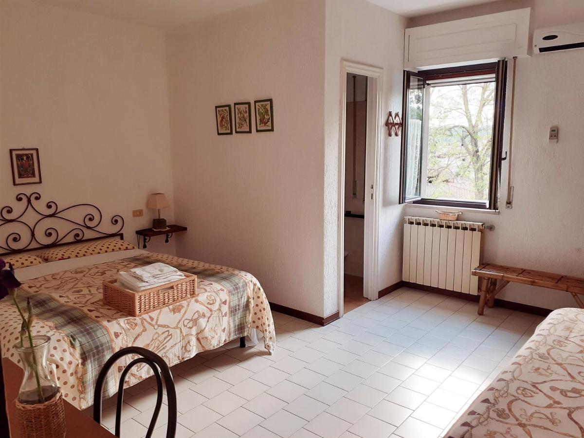 Pier Delle Vigne B&B Pineto Eksteriør billede