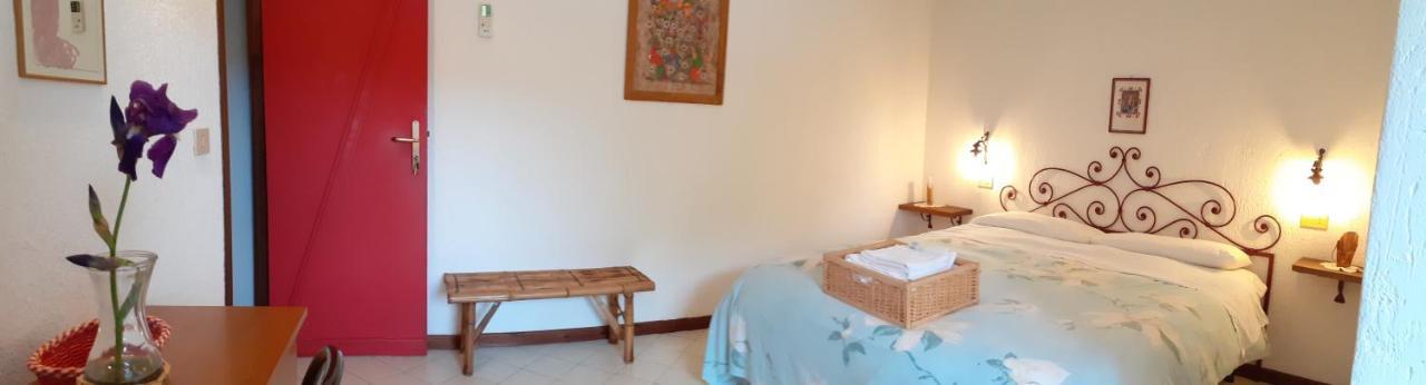 Pier Delle Vigne B&B Pineto Eksteriør billede