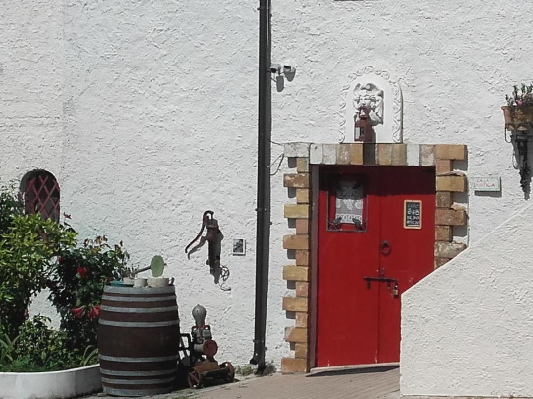 Pier Delle Vigne B&B Pineto Eksteriør billede