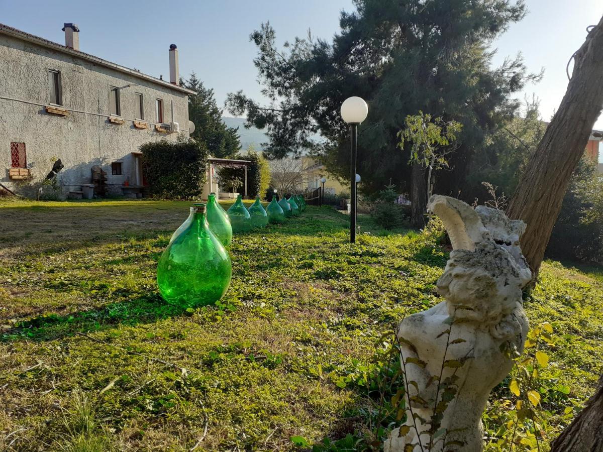 Pier Delle Vigne B&B Pineto Eksteriør billede