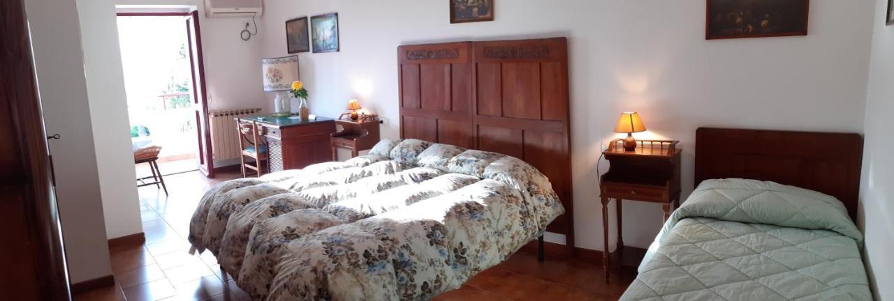 Pier Delle Vigne B&B Pineto Eksteriør billede